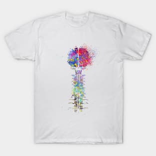 Brain and cervical T-Shirt